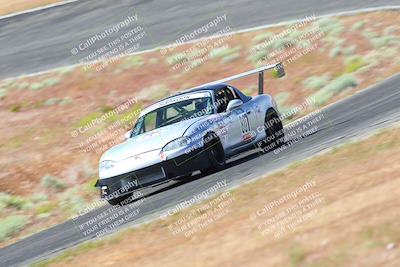 media/May-06-2023-Lucky Dog Racing (Sat) [[8f2256f436]]/Turn 2 10a/